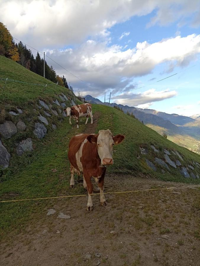 Ortnerhof Appartement Ahrntal Buitenkant foto